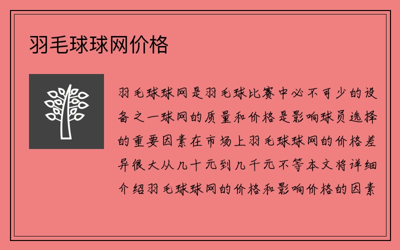 羽毛球球网价格