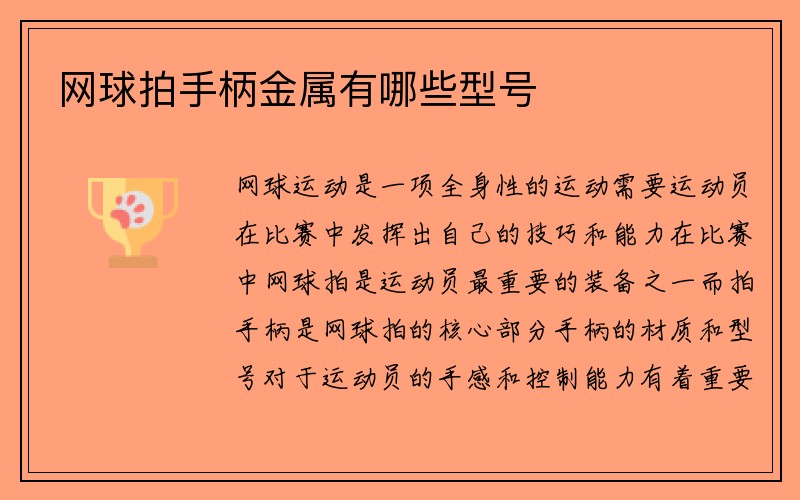 网球拍手柄金属有哪些型号